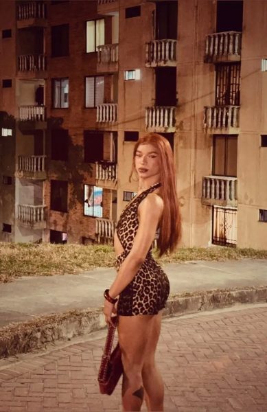 Sicaru cabol